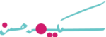 sakina hassan logo